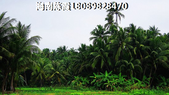 安徽2022是否纸得touzi