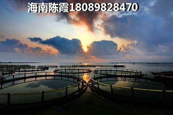 中南熙悦